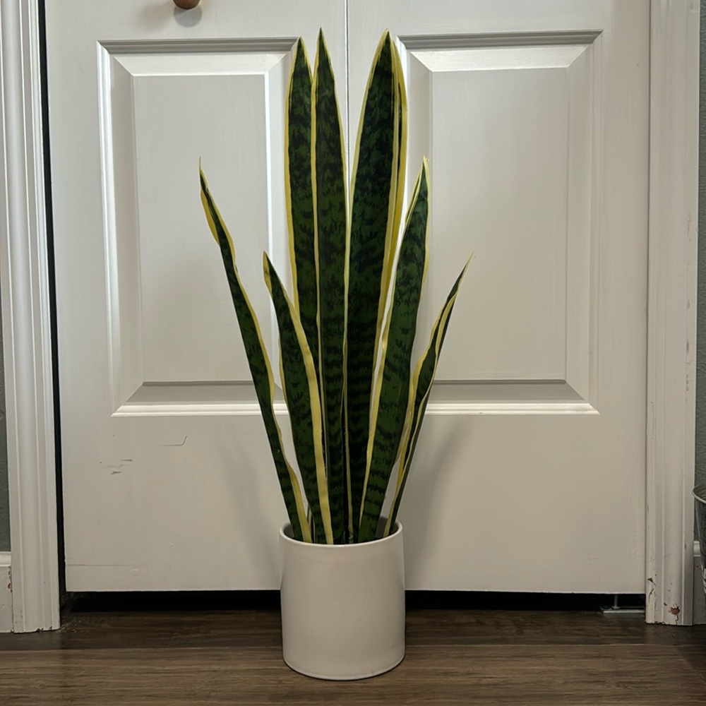 Fake snake plant in white holder